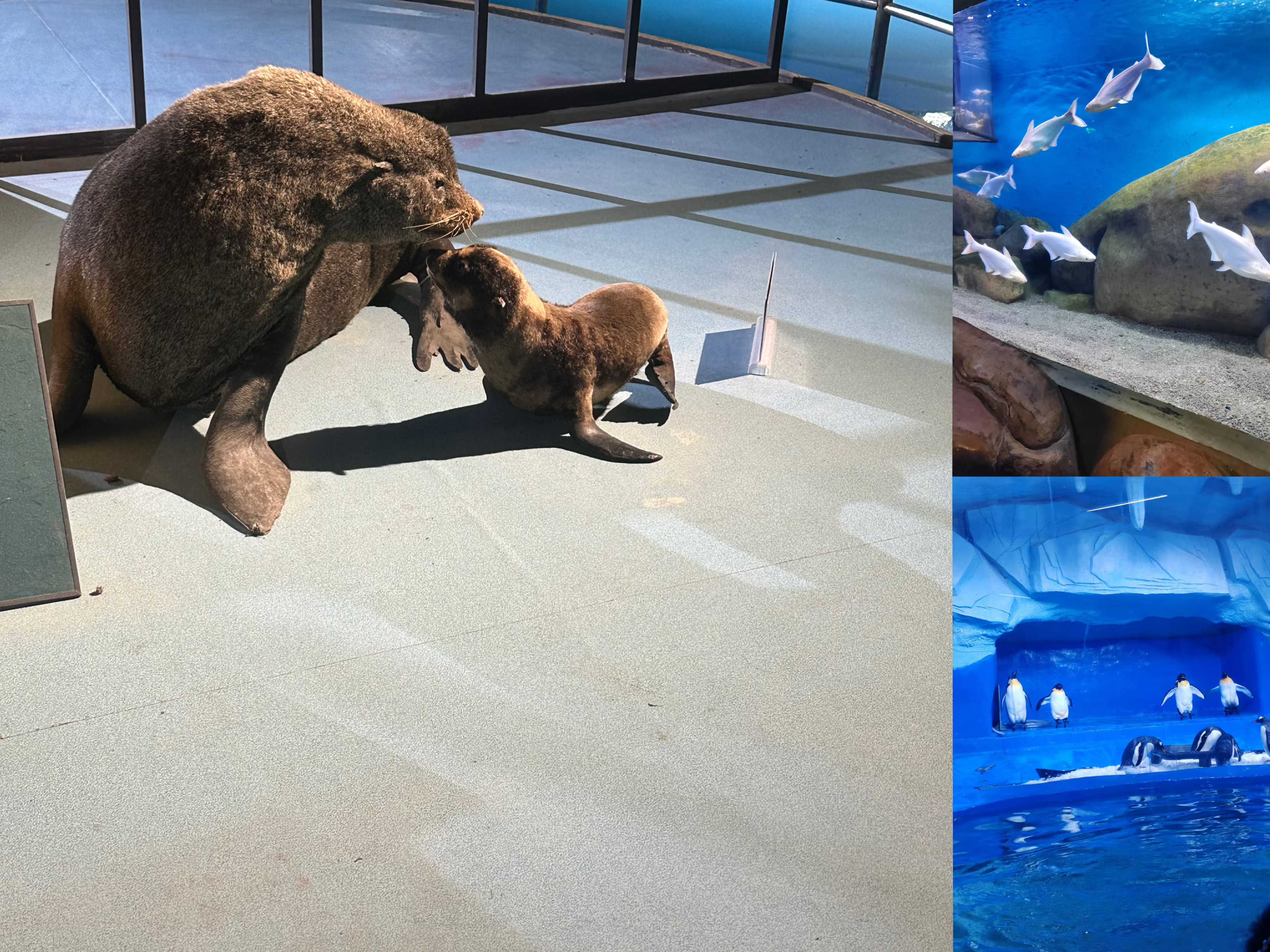 AGGAME��(�й���)���Źٷ���վ