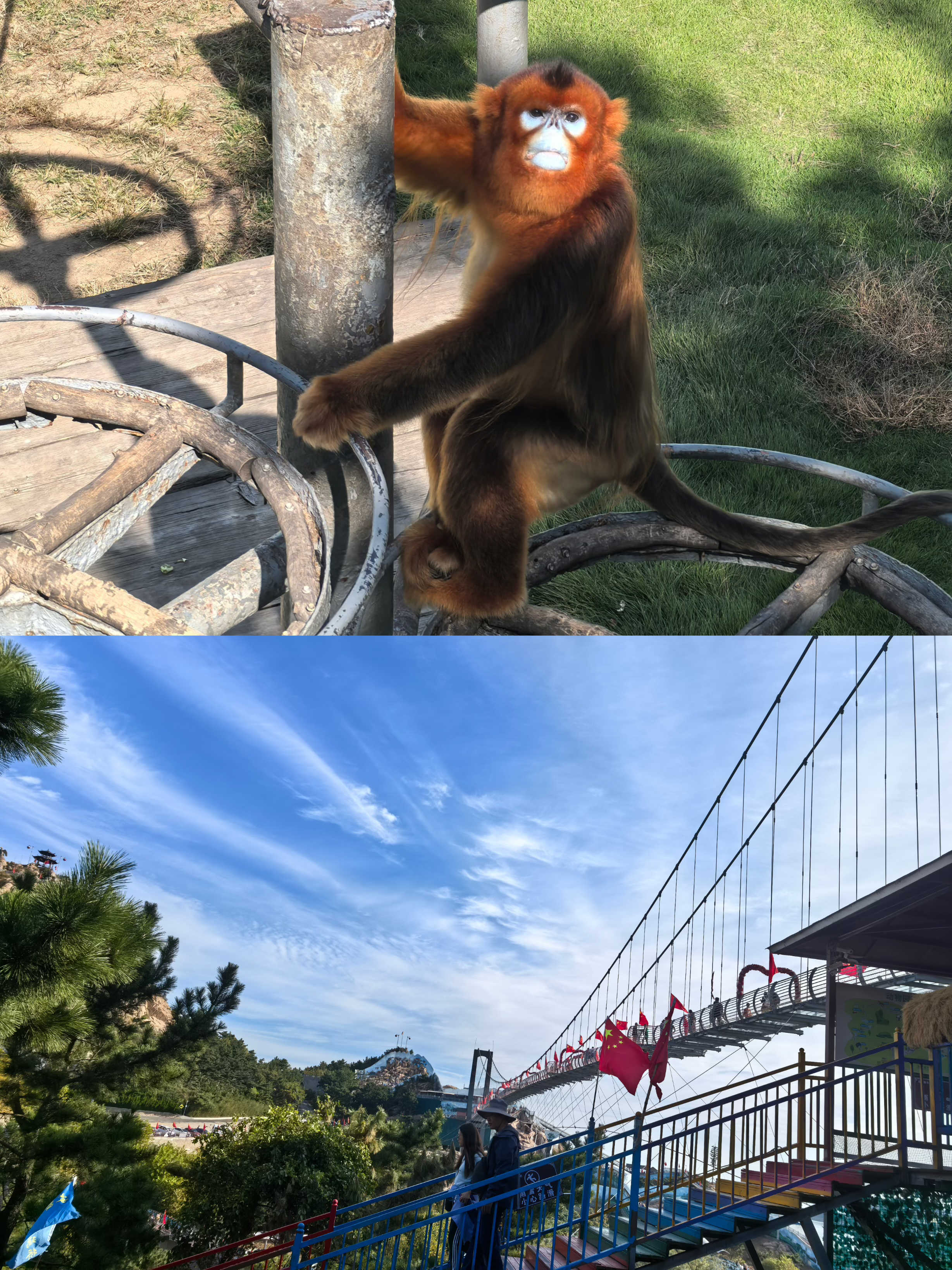 AGGAME��(�й���)���Źٷ���վ