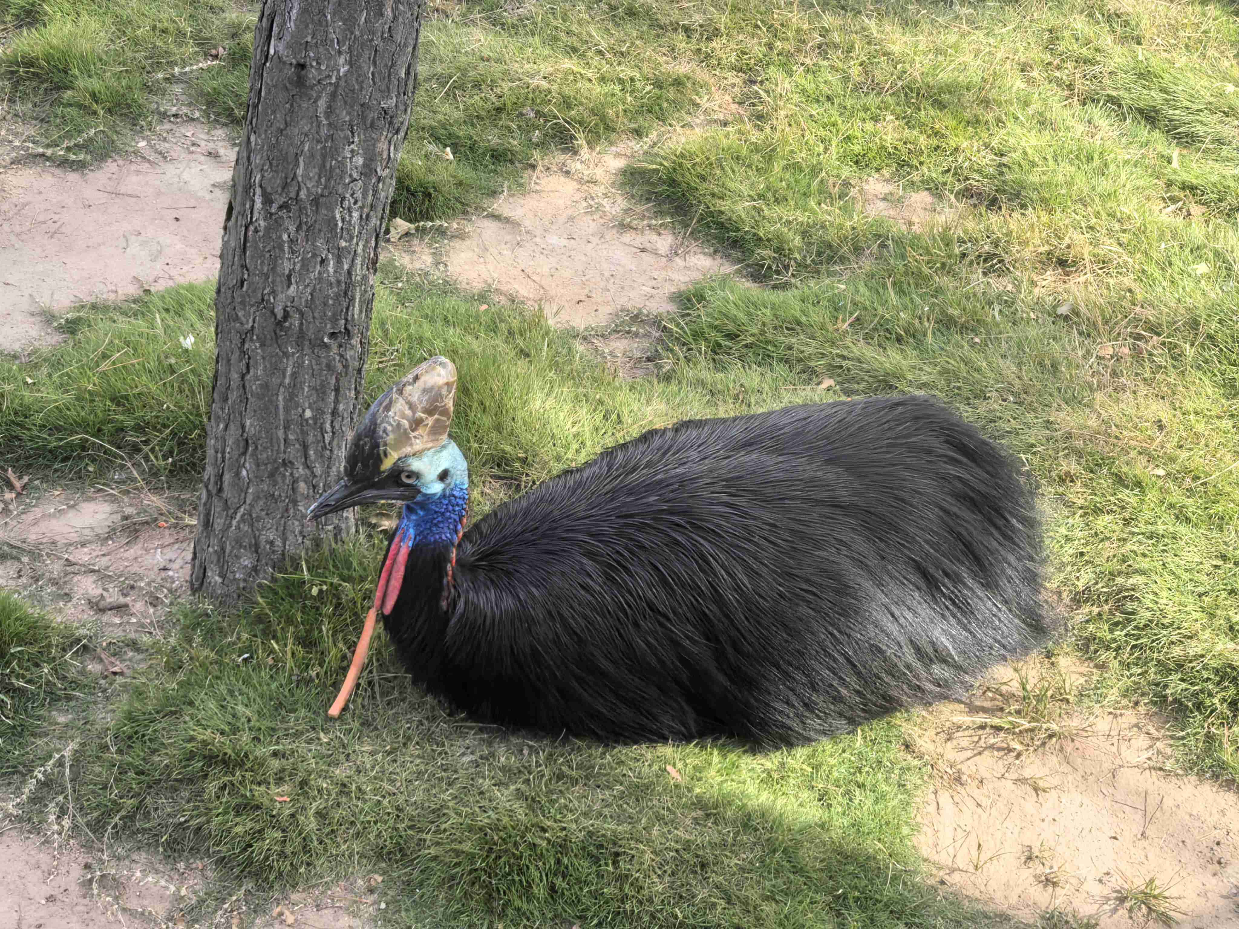 AGGAME��(�й���)���Źٷ���վ